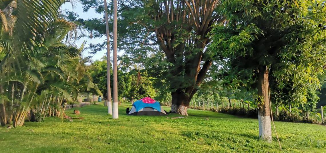 Happy Weekend 24 de Mayo 2025