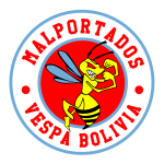 MVBolivia_Logo_Web